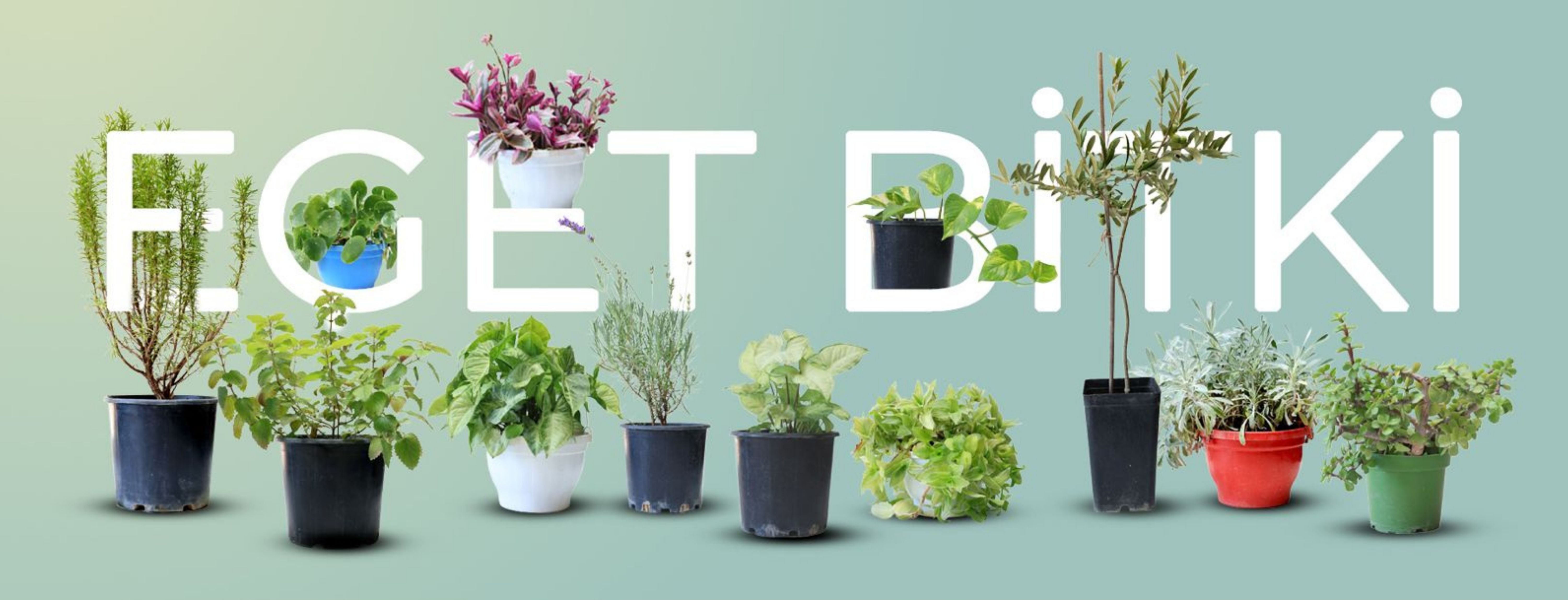 EGET VAKFI İKTİSADİ İŞLETMESİ