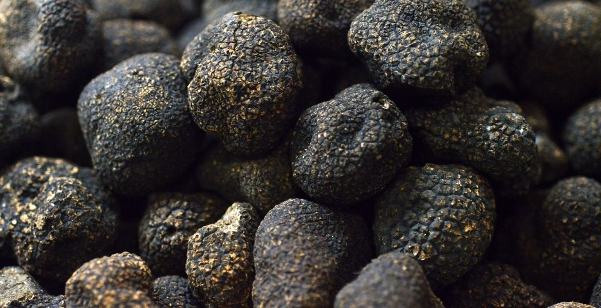 TRÜFTEN ELDE EDİLEN GELİRLE BURS VERİLECEK