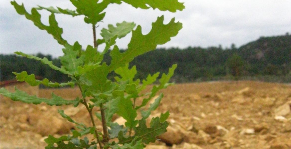 TRÜF MANTARI İŞLETMESİ KURULDU - EGET VAKFI ARMUTÇUK KÖYÜNÜ PİLOT BÖLGE SEÇTİ