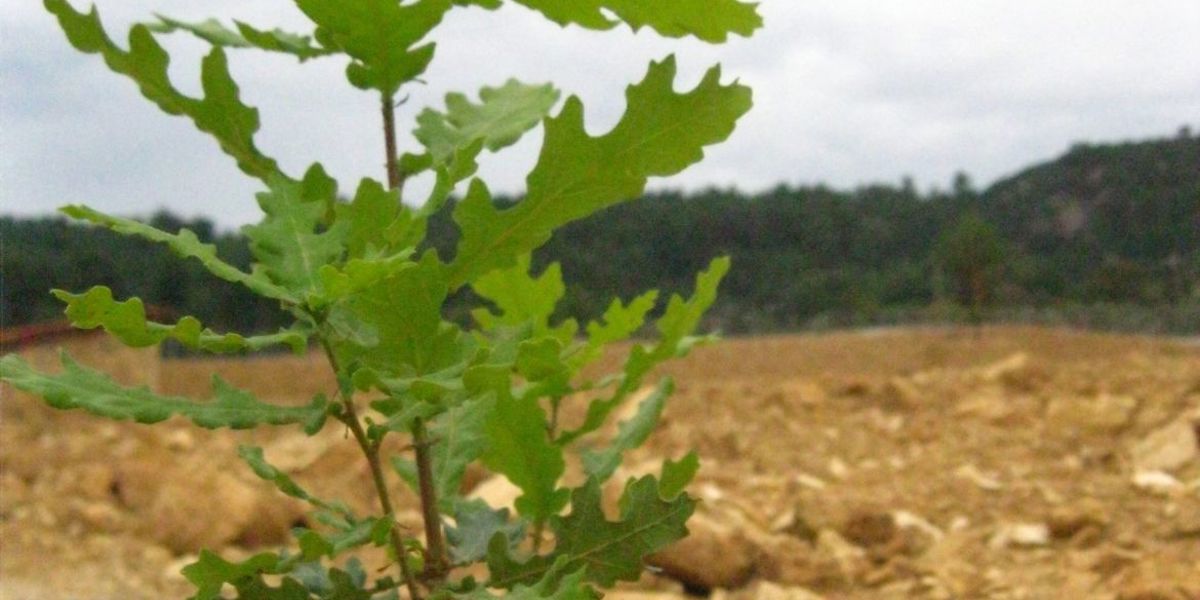 BAŞKAN GÜMÜŞ'E EĞİTİME DESTEK BELGESİ