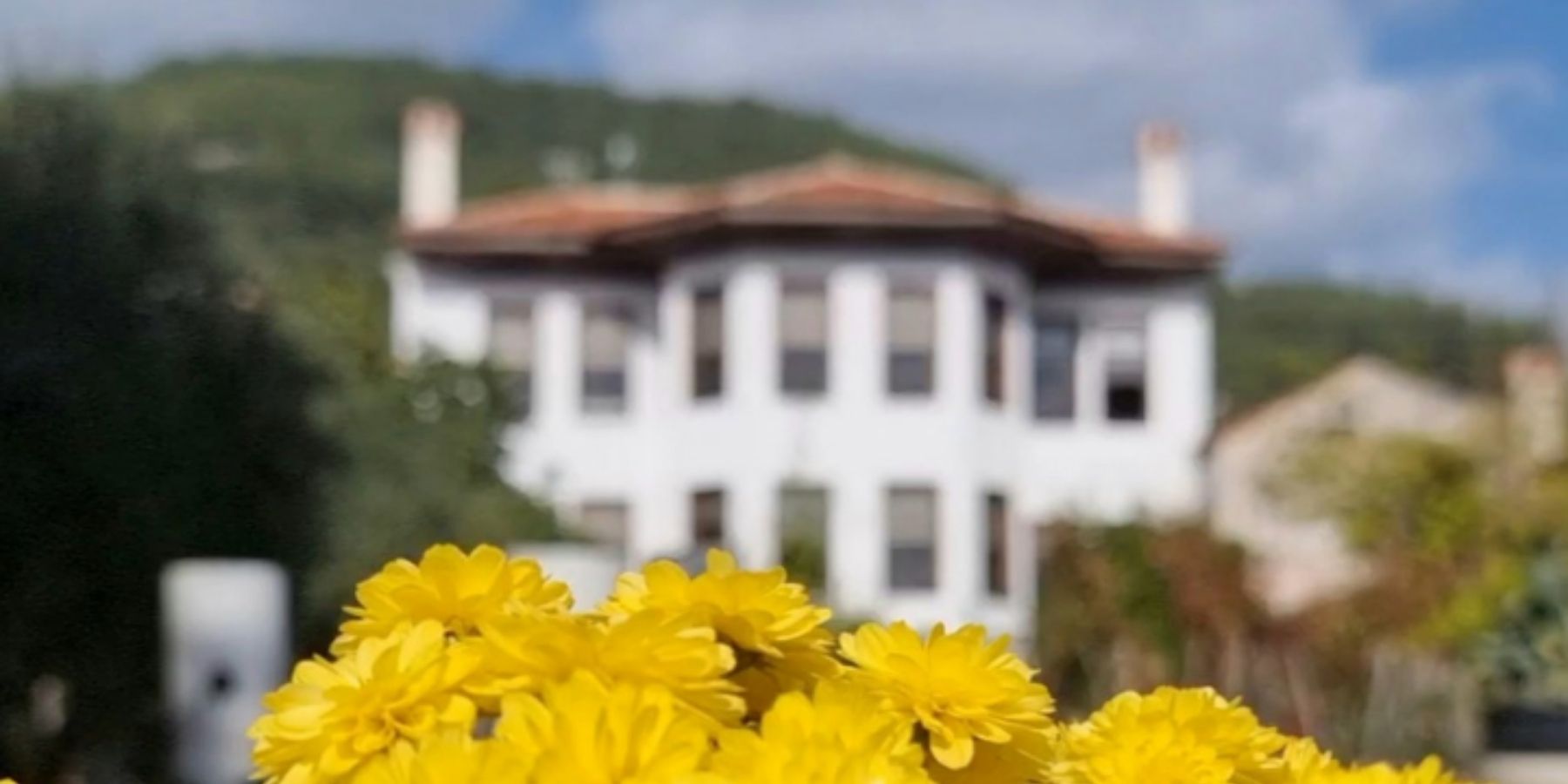 TOPRAK ALTI CANLILARI VE SOLUCAN GÜBRESİ EĞİTİMİ