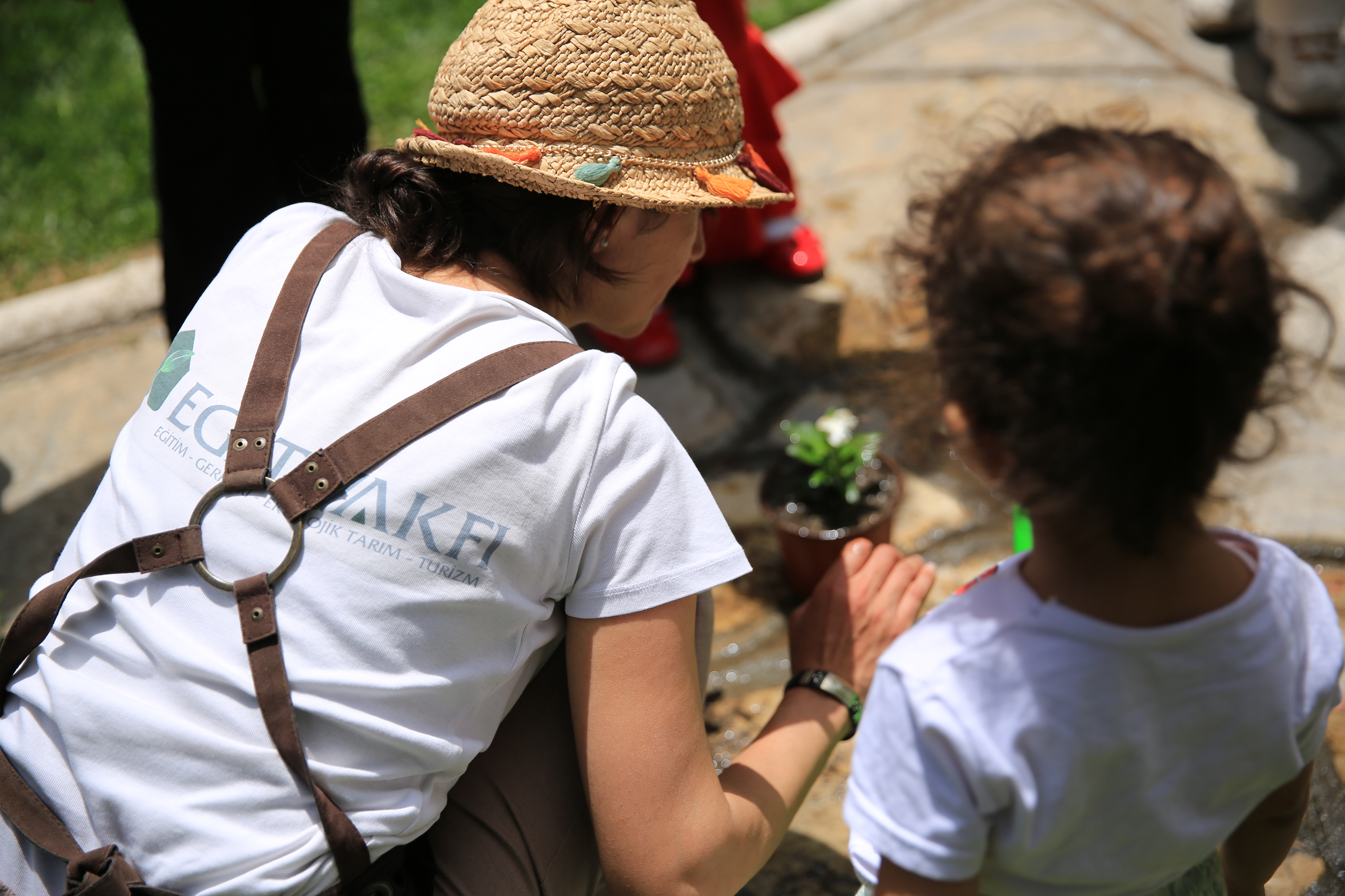 Geleceğin Okulu Nörobilimin Işığında Doğada mı?