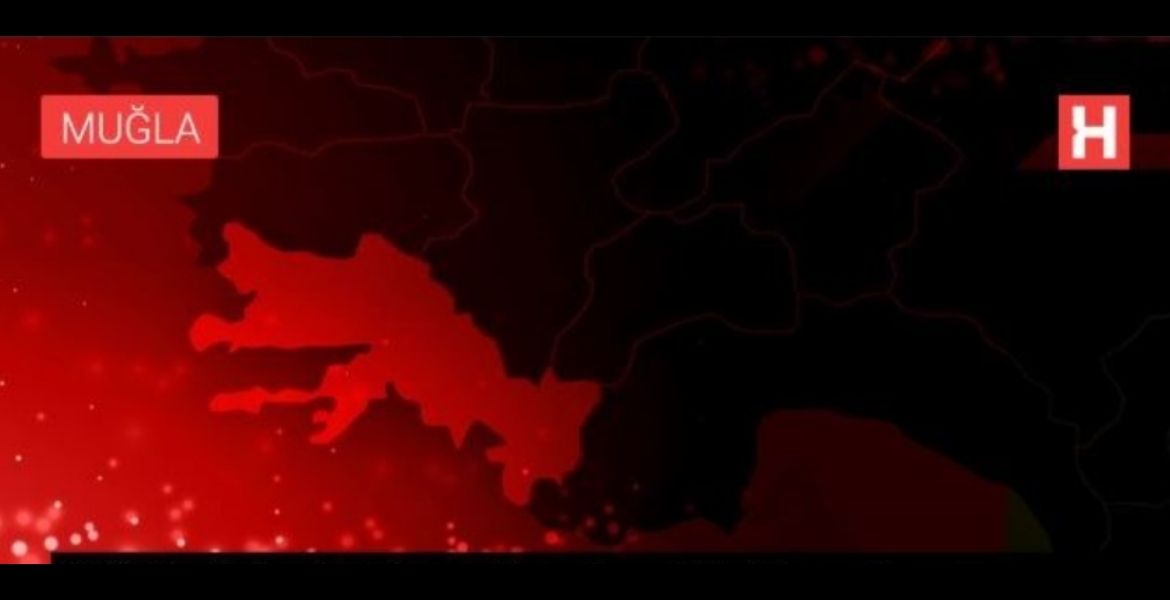 ÇİFTÇİLERİN TOPLADIĞI ZEYTİNLERİN GELİRİ ÖĞRENCİLERE BURS OLUYOR