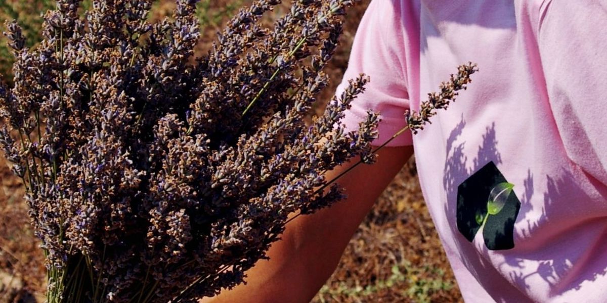 MUĞLA'NIN TARIMSAL ÜRÜNÜ YERLİ SANAYİ HAMMADDESİNE DÖNÜŞTÜ