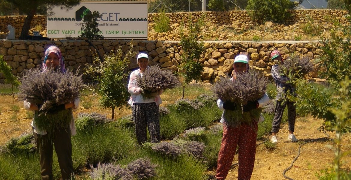 ÖĞRENCİLERE LAVANTA KOKULU BURS GELİYOR